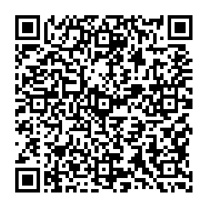 龙傲天察看了一下他师傅给他的炼丹篇中的内容符合他目前修为炼制的吞对噬黑暗魔力有效果的丹二维码生成
