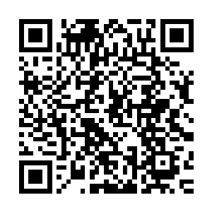 龙傲天想到自从将他们收服之后传了他们功法也就没有管他们二维码生成