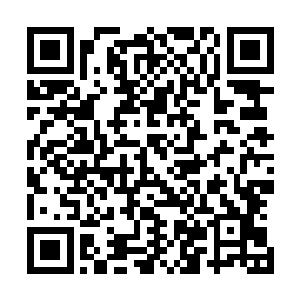 龙傲天意念一动顿时从戒指中拿出了一件软甲还有一柄长剑二维码生成