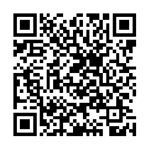 龙傲天的行动步骤都是经过了龙傲矢无数次的推演才制订的二维码生成