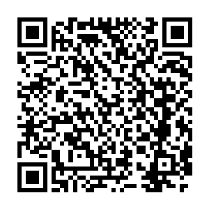 龙傲天看到金怒涛的表现心中或多或少的也可以知道他此时心中的感受二维码生成