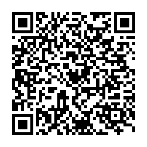 龙傲天神识笼罩住众人发现这一次众人的修为又提升了好几个档次二维码生成