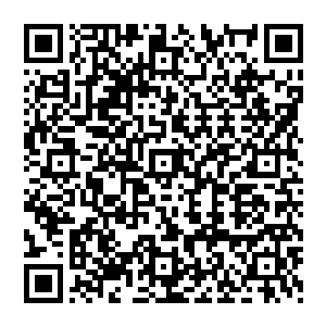 龙傲天粗略的估计了一下经过这次突破之后体内的混沌之力比刚开始的时候要浓厚了十倍以上二维码生成