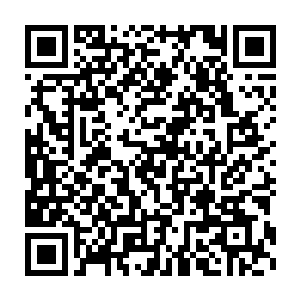 龙傲天见状不再理会他们而是将目光放到了正在不断的散发尸气的墓二维码生成