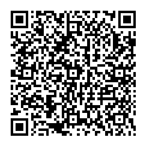 龙华也就理解了为什么那他那个个性不怎么可靠但是本领不弱的阿弟为什么会栽在这个人的手里二维码生成