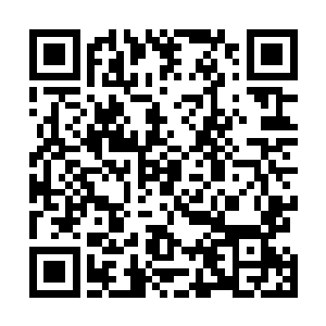 龙天漪手上拿着的棒棒一时之间也不敢让他们任何人靠近二维码生成