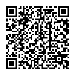 龙宇……不要多浪费力气……这里是苍家的禁地……很难……出去的……二维码生成