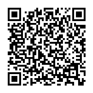 龙宇意识到依靠他们三人的力量决然是不可能与眼前的火焰剑光硬碰硬的二维码生成