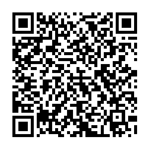 龙家在这边讨论的正高兴的时候西门家的两位少爷此时也狼狈的回到了西门家二维码生成