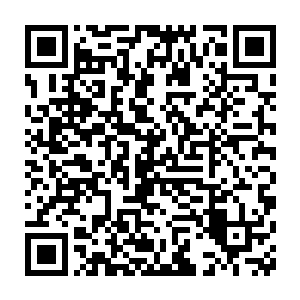 龙族们目光灼灼的盯着将近十米长的碧绿叶片上写满的细小古语文字二维码生成