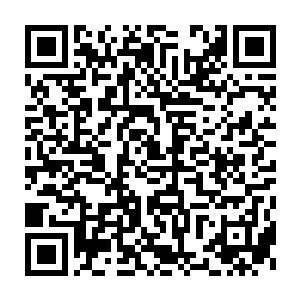 龙犼的巨大的身体也再一次仿佛一辆坦克一般朝着杨戬的身边碾压过来二维码生成