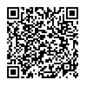 龙皇要把全全副的精力放在主持赛前选拔和三界法会的预选阶段上二维码生成