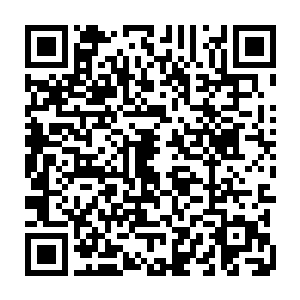 龙羽一副有恃无恐的模样让冯海原本想要给龙羽一个教训的心忍不住打了退堂鼓二维码生成