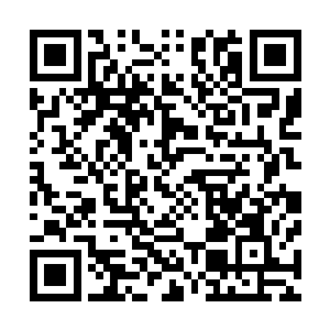 龙英杰从老龙皇给他的七十二套武技功法中精心挑选了一套二维码生成