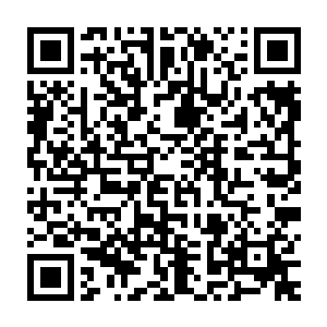 龙象法王他们这样的修为吧……可是远远比不上李无花这等妖孽的二维码生成