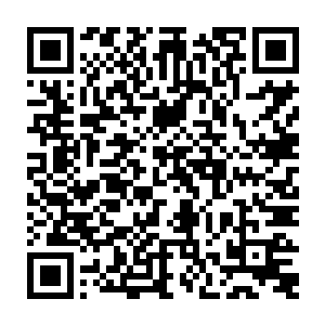龙象法王现在的这个状态是他故意弄出来麻痹秦方的……不管是否是这样二维码生成