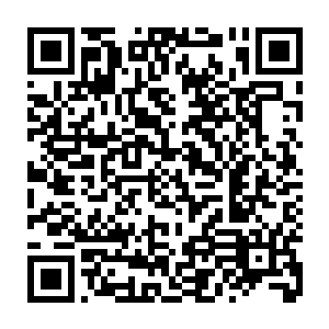 龙象法王这时候龙化也完成的差不多了……整个人都好像完全变了样似的二维码生成