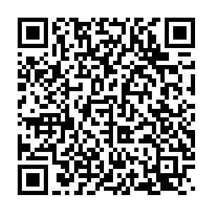 龙逸辰和慕容昊却在在慕容仙儿有所行动的时候同时一把抓住她的手二维码生成