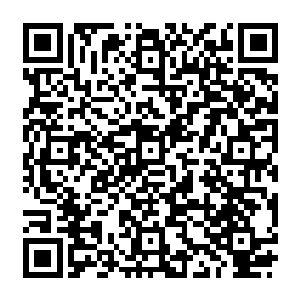 龙道友会获得一块拳头大小的星辰精华还有一段三寸的万年星辰神木心加上十颗星辰果二维码生成