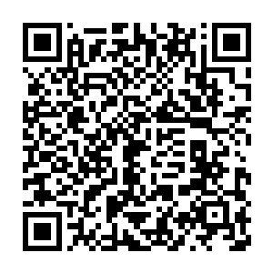 龙道友的炼丹之术甚至不在我天宇商盟的客卿长老宇文伯大师之下二维码生成