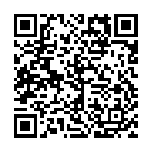 龙门的几位长老为了抢夺老大的位置已经展开了各自的内斗二维码生成