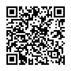龙龟长尾轰击的力量就连楚旬的魔化分身也无法完全抵挡二维码生成