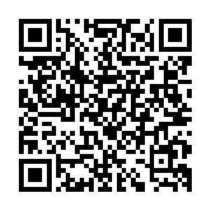 龚柏宇第一次单独操作的一笔大生意竟然那么顺利的就成功了二维码生成
