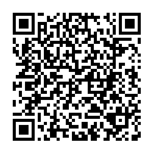 ￠￠￠￠￠看着被其小弟抬走的问家二少爷问武能林辰无奈苦笑一声二维码生成