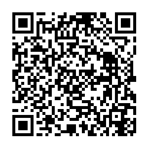 11月还望筒子们继续支持啊~现在11月的月票也快到加更了~~~~有票票的筒子么二维码生成