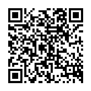 2l桑托斯在总比分上取得了领先圣保罗这次是真的被逼上绝路了二维码生成