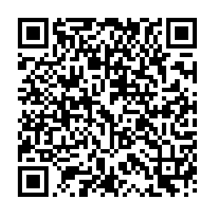 IBM和软通动力合作建设云计算中心等多家企业项目负责人都参加和总理的座谈二维码生成