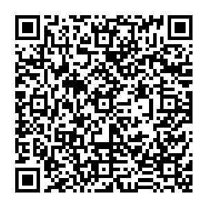 VPL雇佣了大量的高级工程师和程序员来改进由兰尼尔设计的图形编程语言以及由齐默曼设计的手套二维码生成