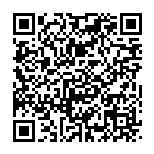 nàme这银鳞鱼便都可以起到一定的作用……秦方现在差的不是实力二维码生成