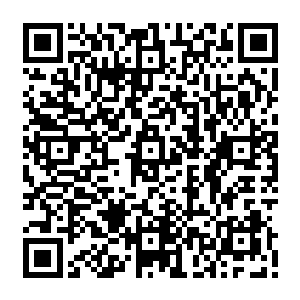 zero的秘密分队expendable已经在东欧开始对克柳切维斯基家族的据点开始了血腥扫荡二维码生成