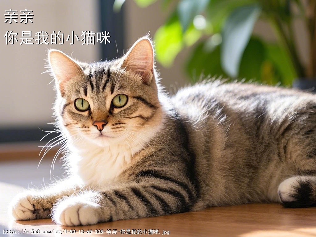 亲亲你是我的小猫咪搞笑图片