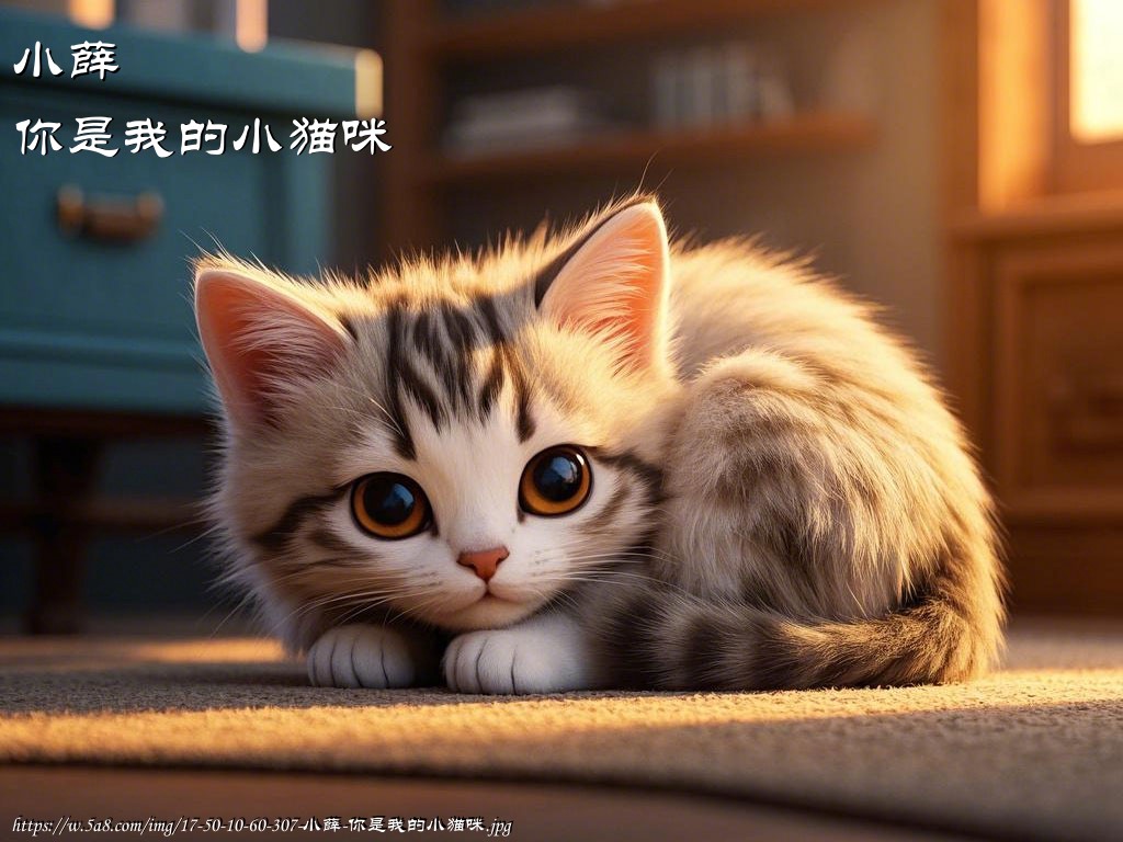 小薛你是我的小猫咪搞笑图片