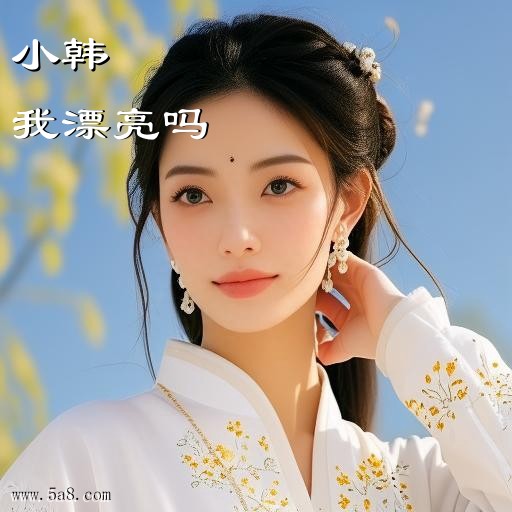 我漂亮吗小韩搞笑图片